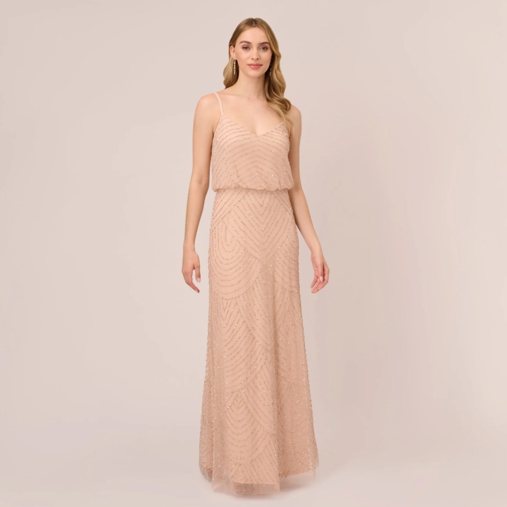 Adrianna Papell Blush Maxi Dress